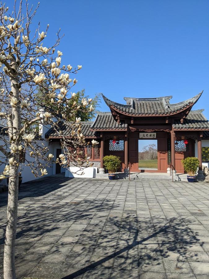 High Point Guesthouse - Next To Seattle Chinese Garden المظهر الخارجي الصورة
