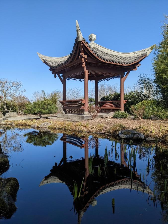 High Point Guesthouse - Next To Seattle Chinese Garden المظهر الخارجي الصورة